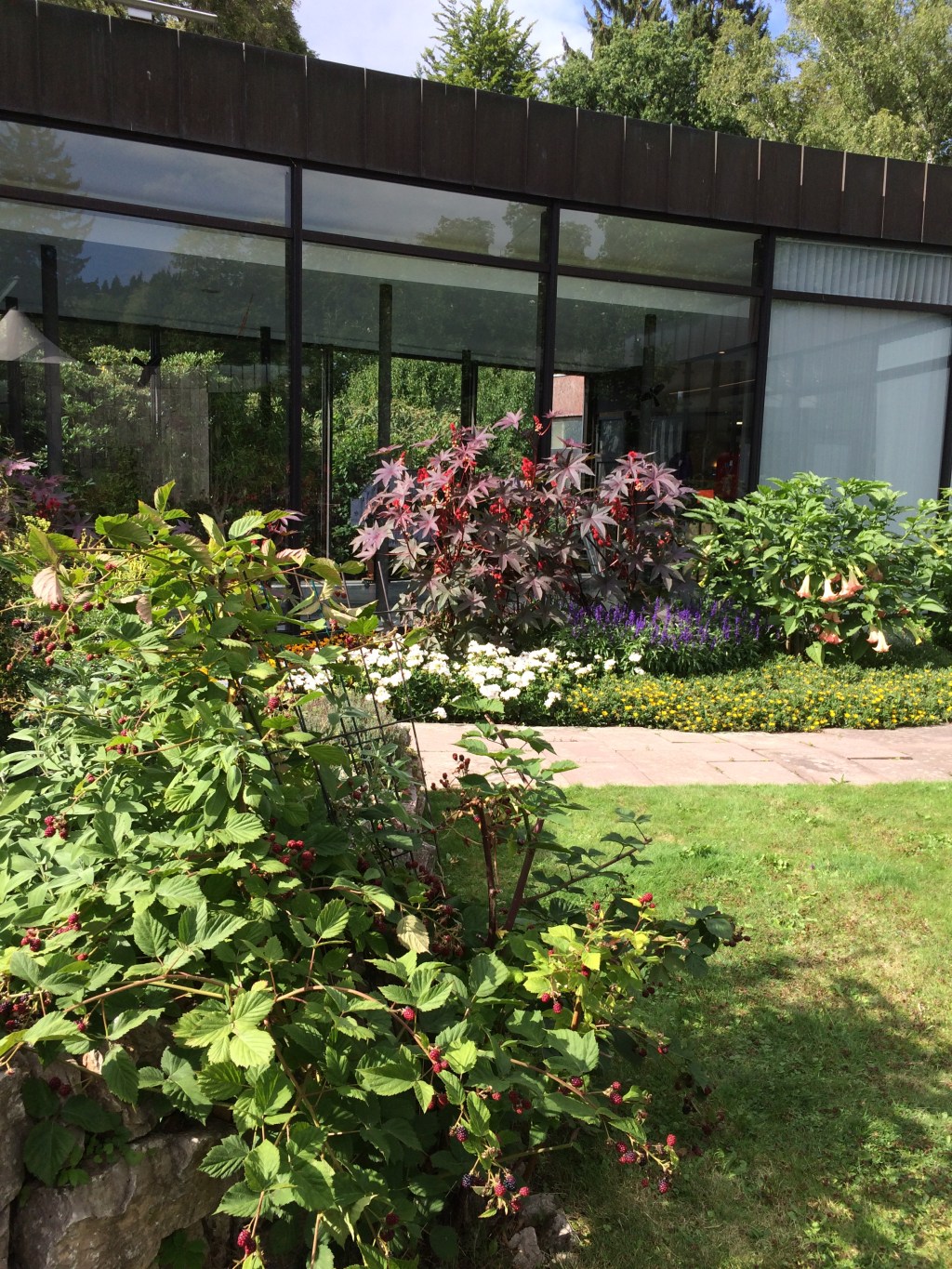 Biowaffe im Kurgarten: Muss das&nbsp;sein?