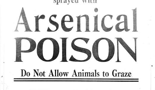 Arsen und Spitzenhäubchen