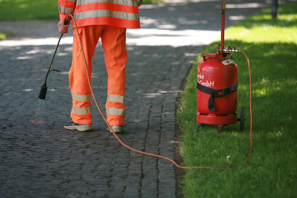 Unkraut abflämmen – harmlose&nbsp;Alternative?