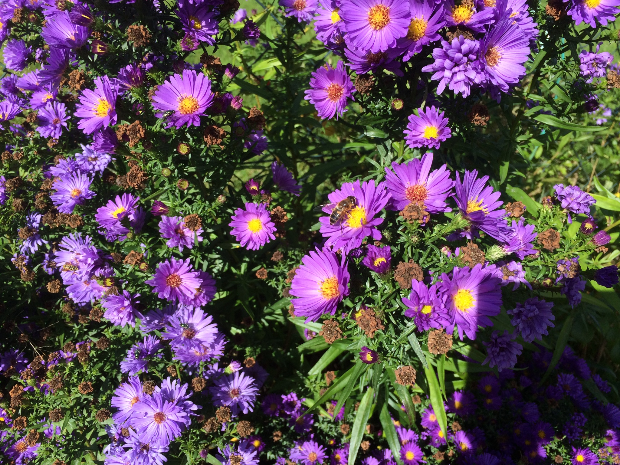 01d1cf42a54498f1a83e02f5f6cbc1e487c26cb264