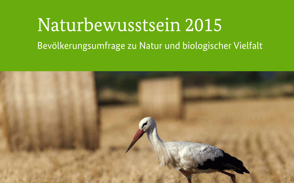 Umerziehung vorerst gescheitert