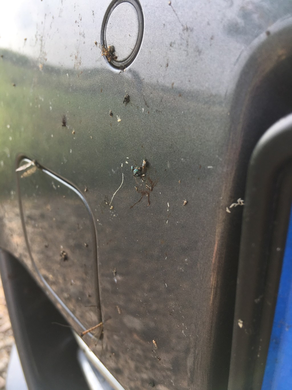 Windschutzscheiben-Psychologie