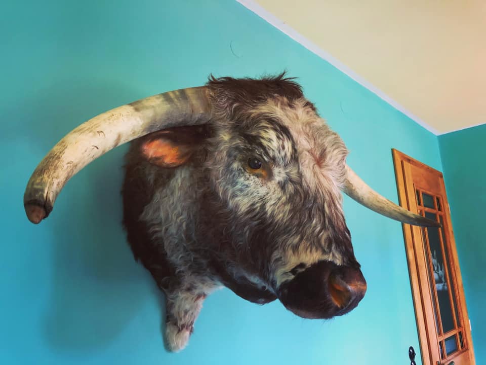 DIE ZUKUNFT DER NUTZTIERHALTUNG?!