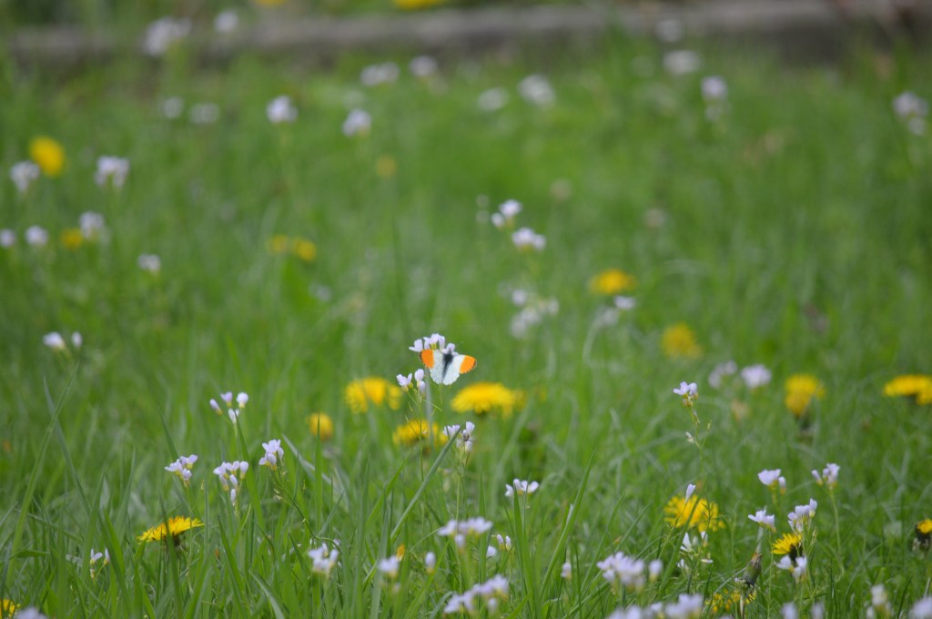 „Jeder Mensch hat das Recht, seine Perspektive darzustellen“