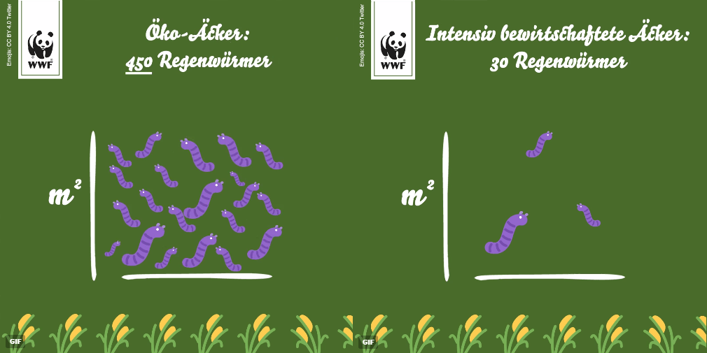 Da ist der Wurm&nbsp;drin