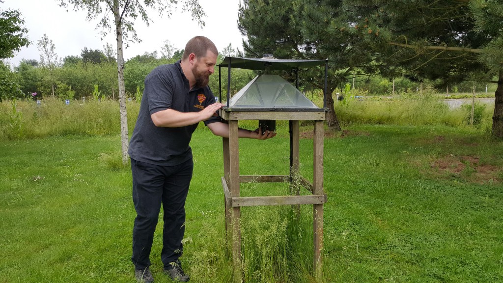 „Wenn man sagt »Insekten sind wichtig«, dann muss man das so&nbsp;machen“